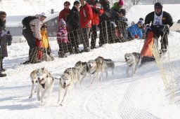 Lenk 2012 SM
